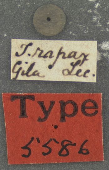 Media type: image;   Entomology 5586 Aspect: labels